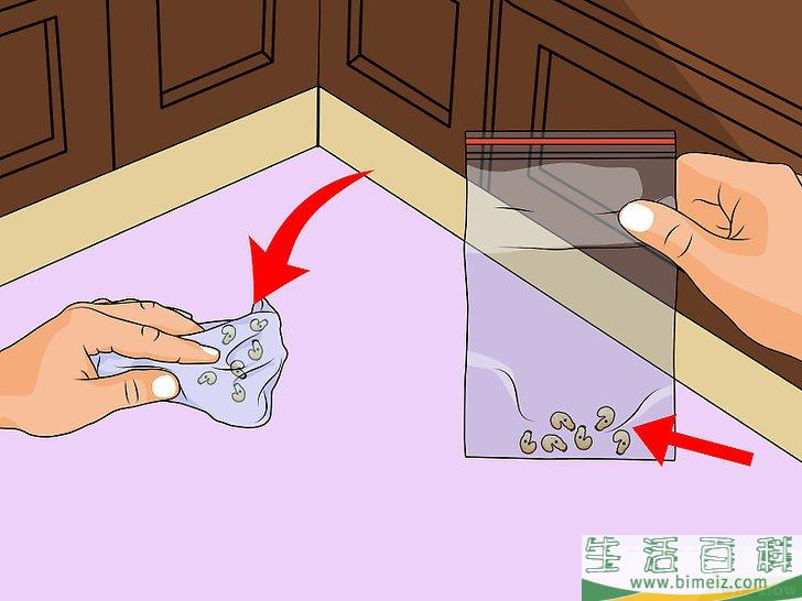 怎么摆脱蛆虫侵扰