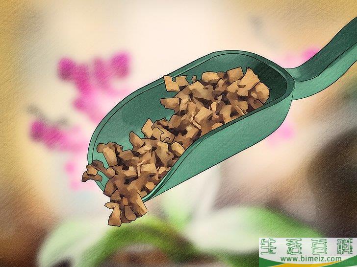 怎么让兰花开花