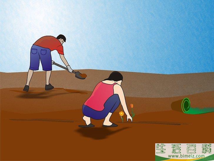 怎么防止土壤侵蚀