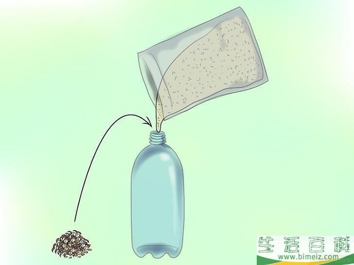 怎么种植野花