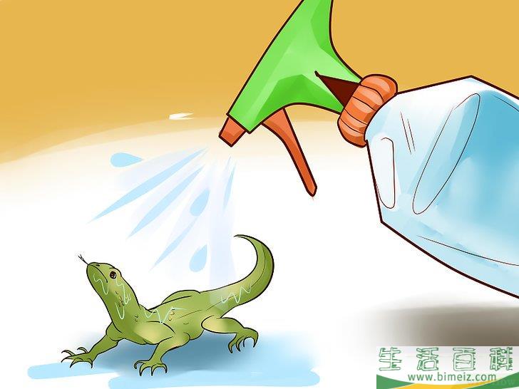 怎么抓住屋内的蜥蜴
