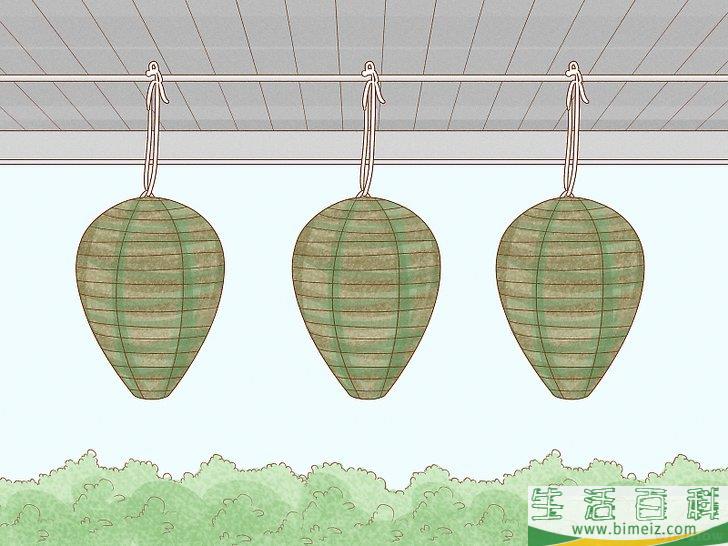 怎么清除黄蜂巢