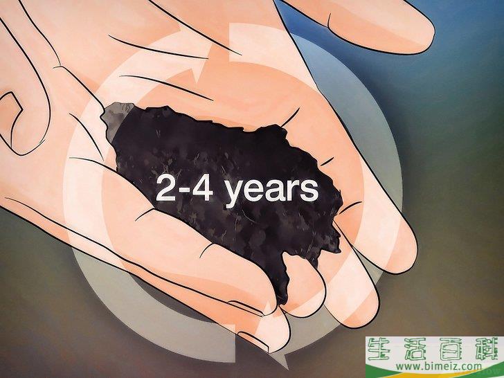 怎么种植翡翠木