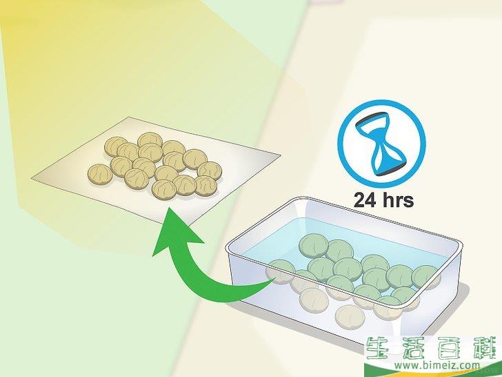 怎么种植檀香树