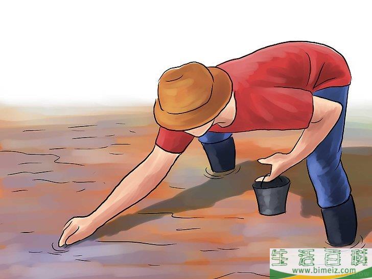 怎么种植大米