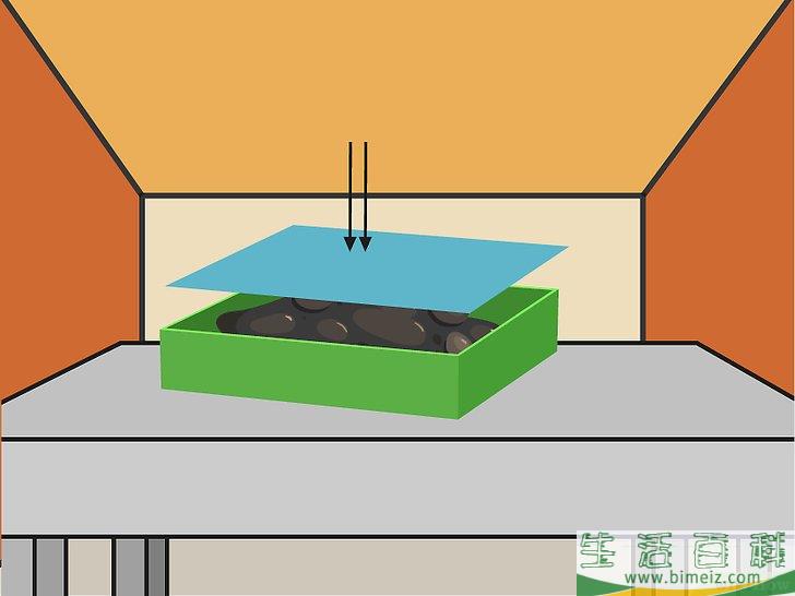 怎么用种子培植辣椒