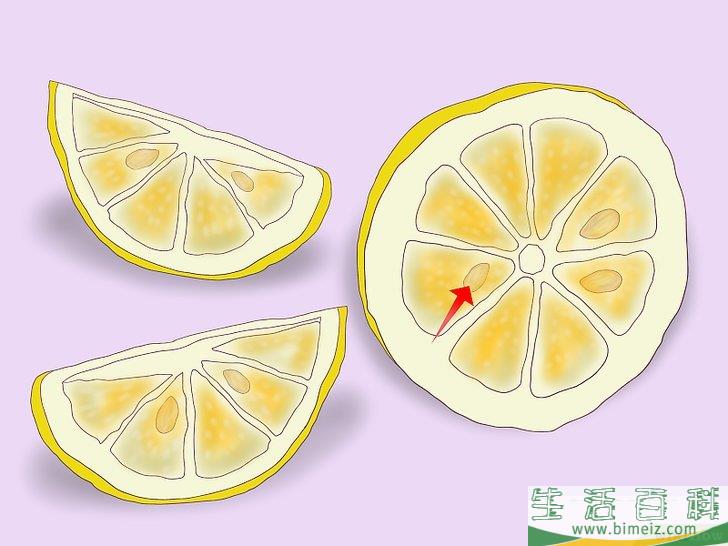 怎么从种子开始种植柠檬