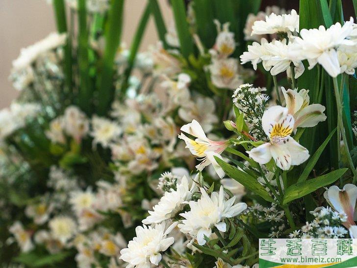 怎么制作花卉工艺品