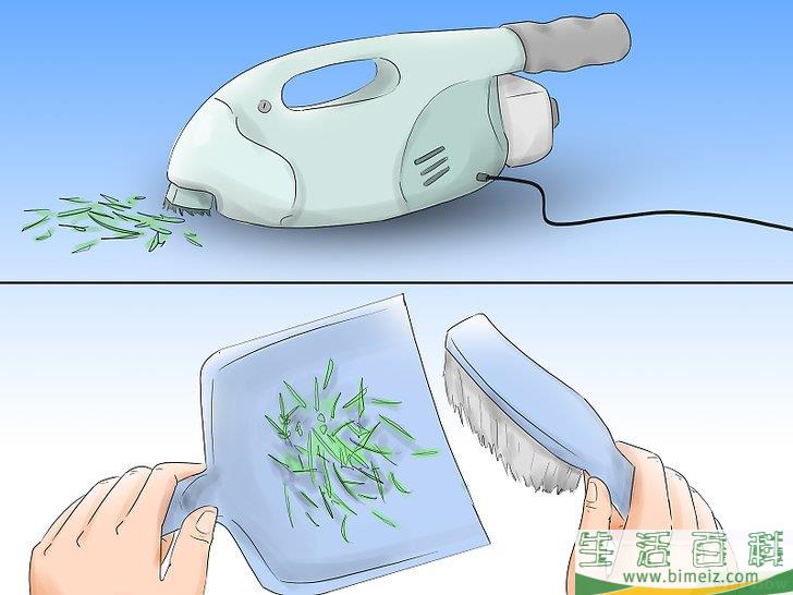 怎么养护圣诞树