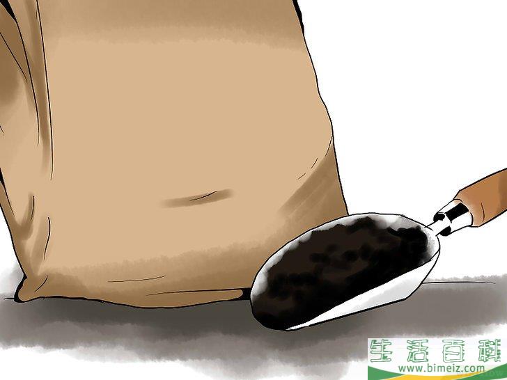 怎么在花盆里种植薄荷