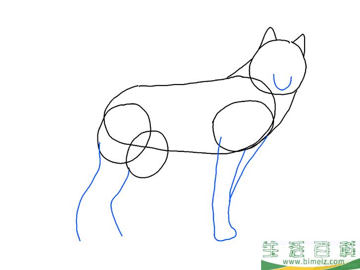 怎么画狼