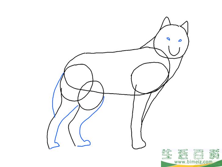 怎么画狼
