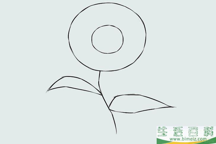 怎么画花