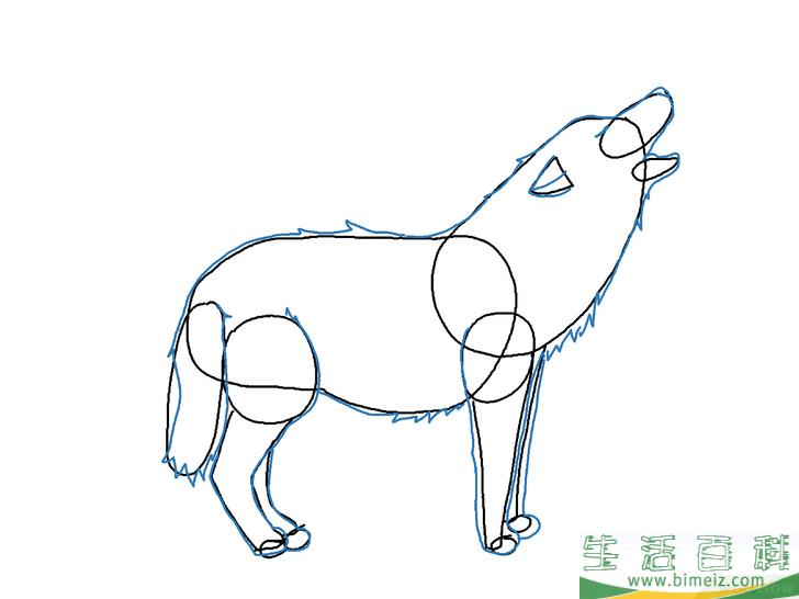 怎么画狼