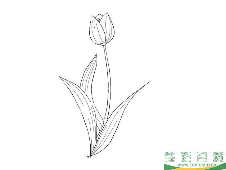 怎么画花