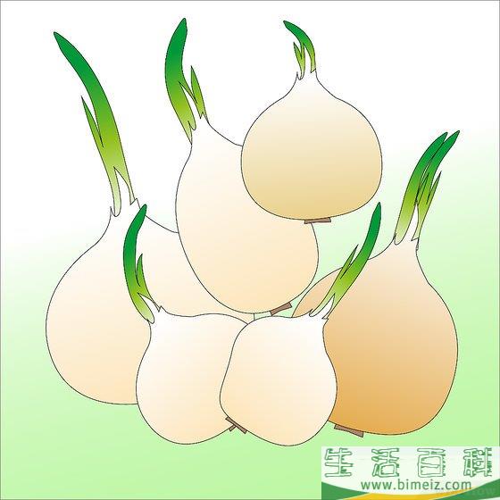 怎么种洋葱