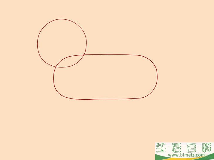 怎么画狮子