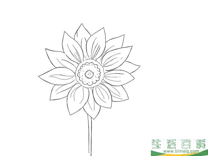 怎么画花