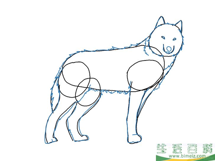 怎么画狼