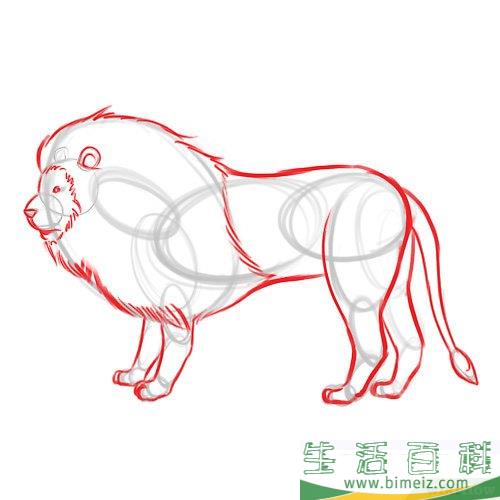 怎么画狮子