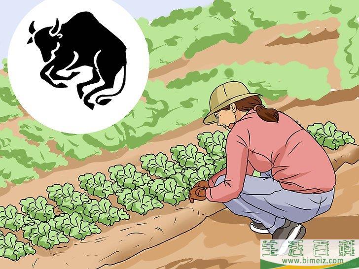 怎么推测对方的星座