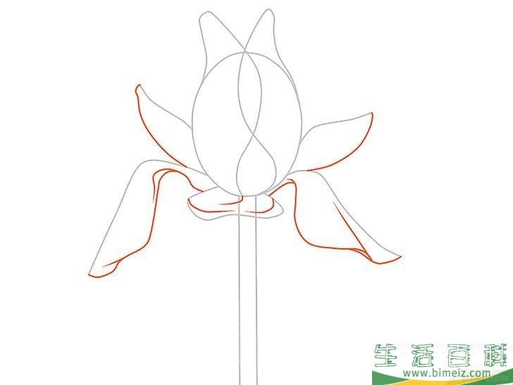 怎么画花