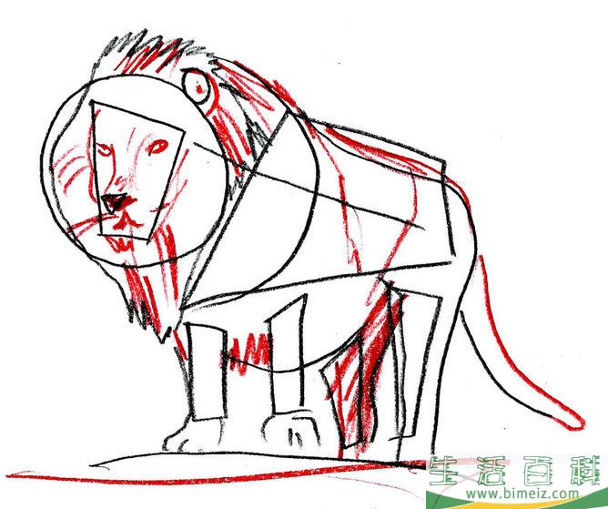 怎么画狮子