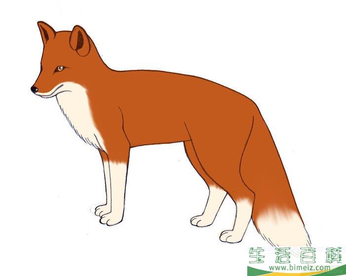 怎么画狐狸