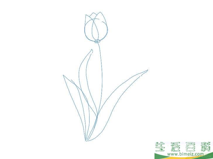 怎么画花