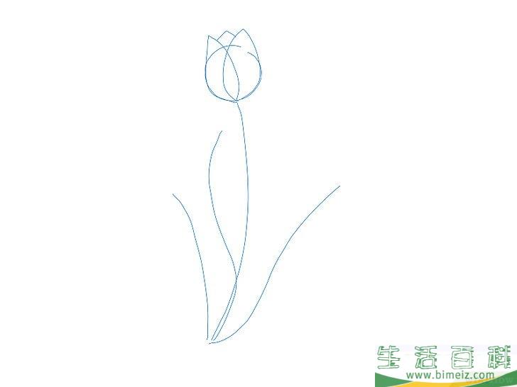 怎么画花