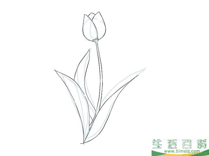 怎么画花
