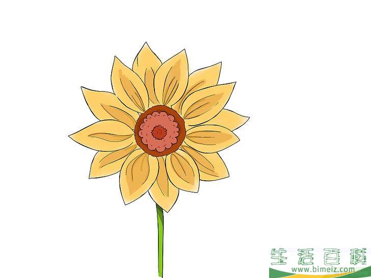 怎么画花