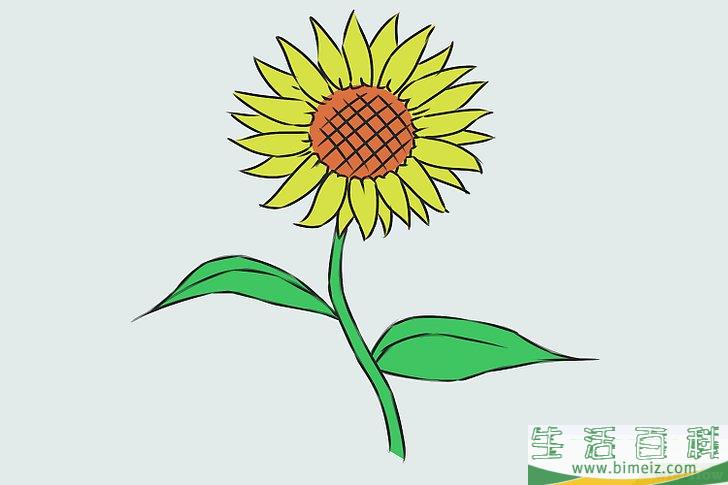 怎么画花