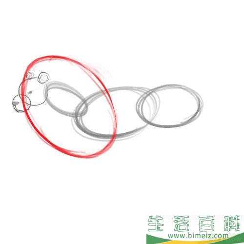 怎么画狮子