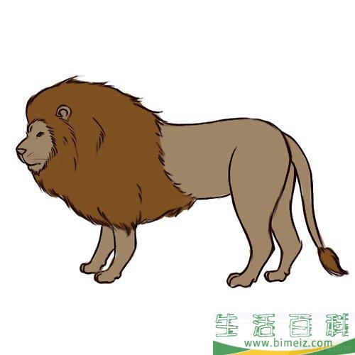 怎么画狮子