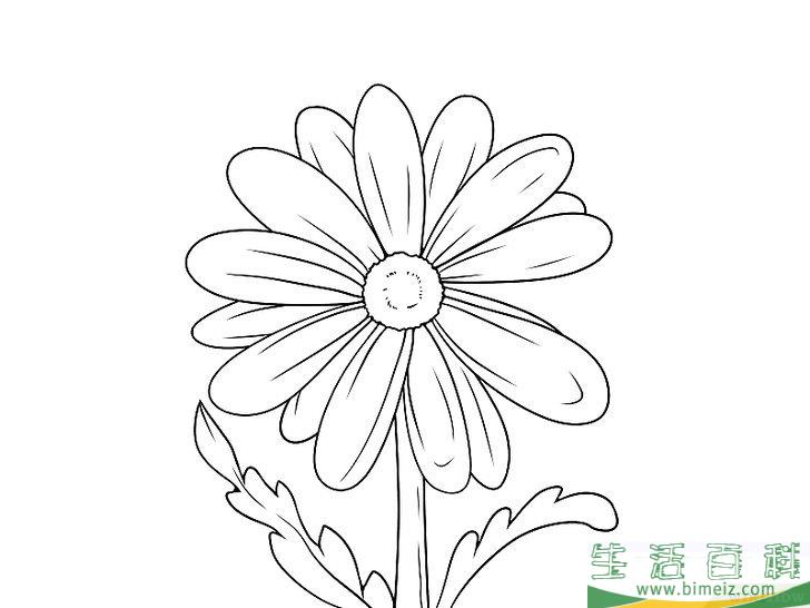 怎么画花