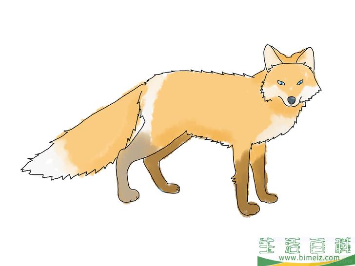 怎么画狐狸