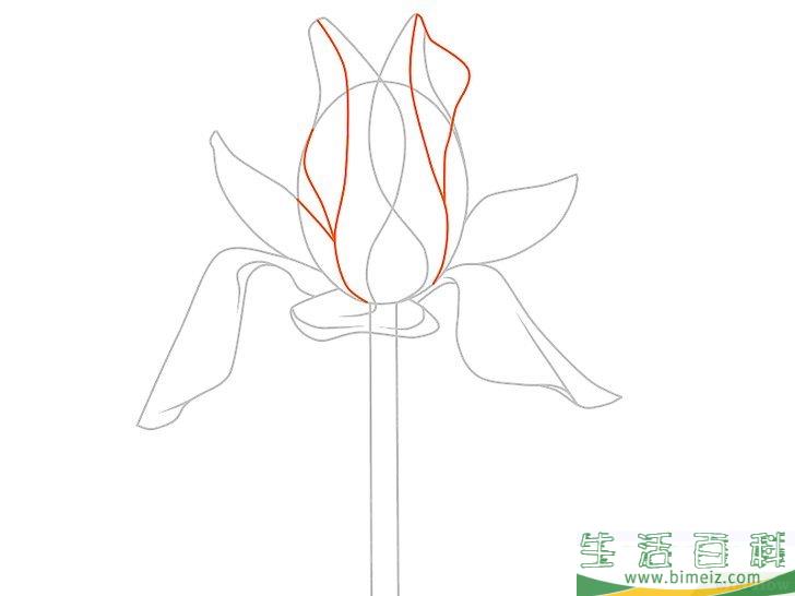 怎么画花