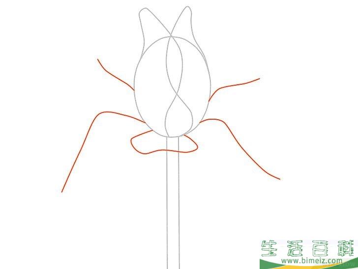 怎么画花