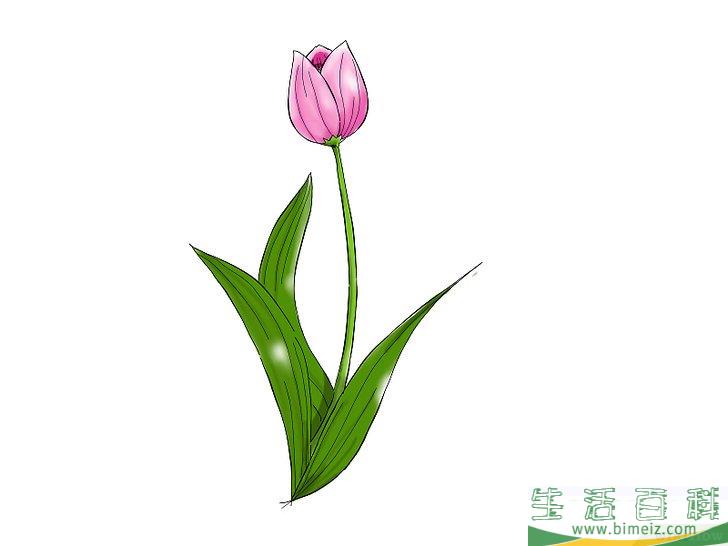 怎么画花