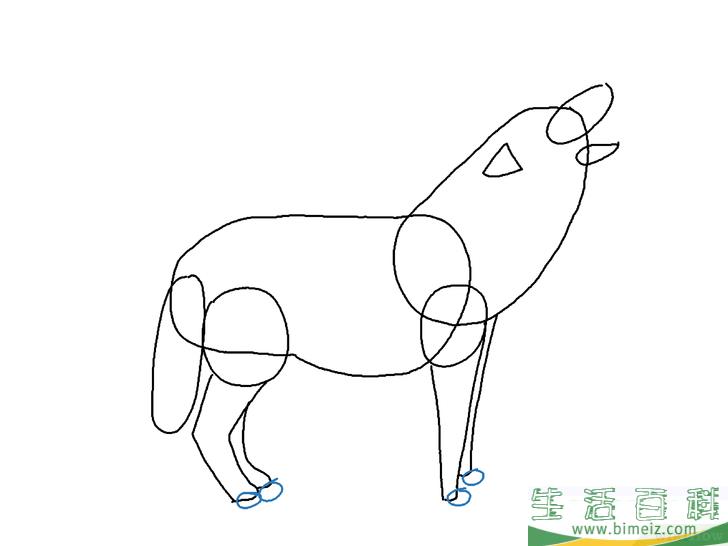 怎么画狼