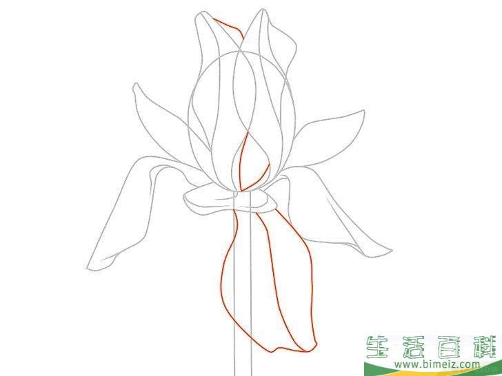 怎么画花