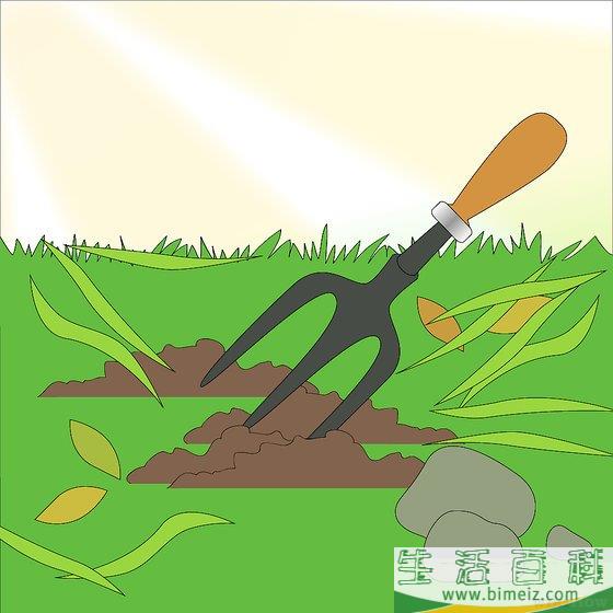 怎么种洋葱