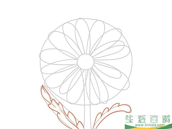 怎么画花