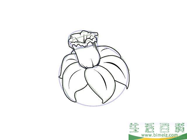 怎么画花