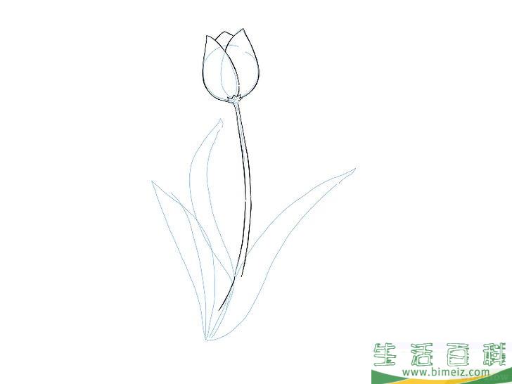 怎么画花