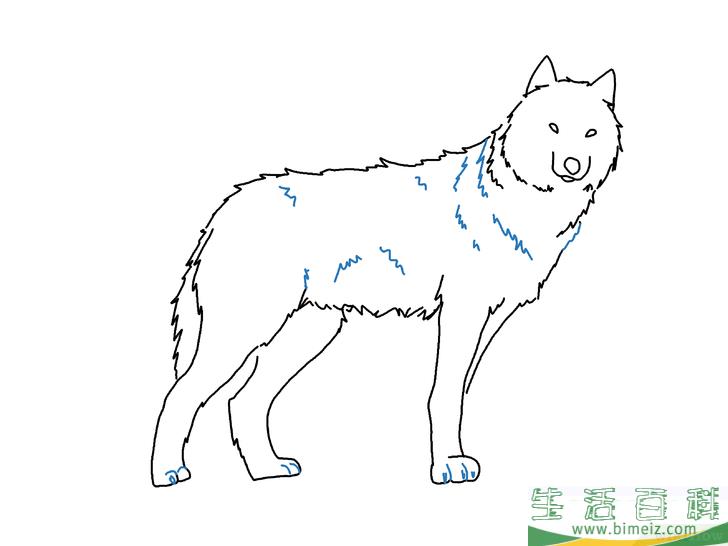 怎么画狼