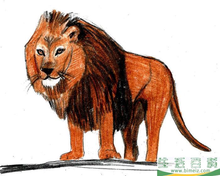 怎么画狮子