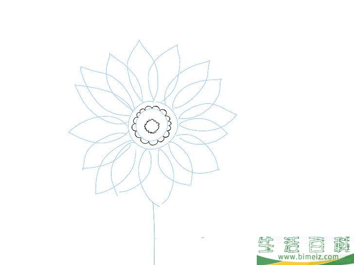 怎么画花