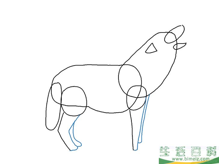怎么画狼